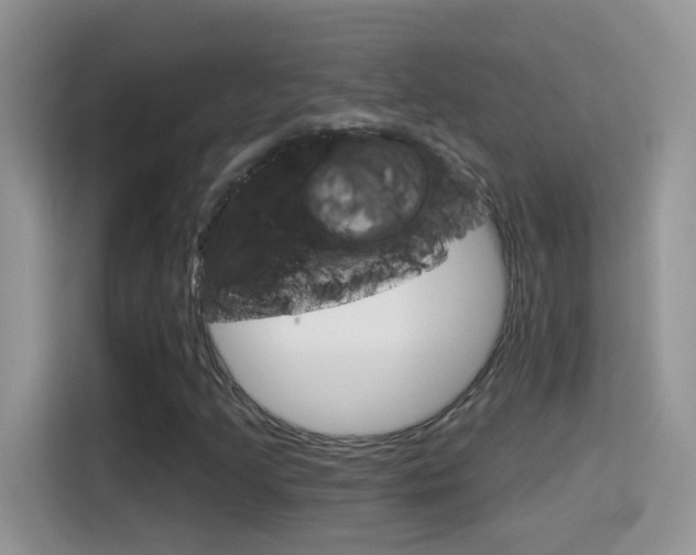 X0000114441205200910161045