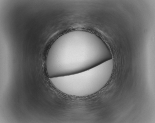 X0000114441206200910161045