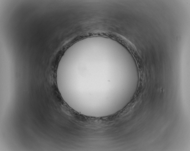X0000114441207200910161045