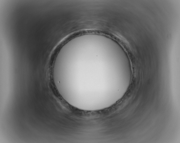 X0000114441208200910161045