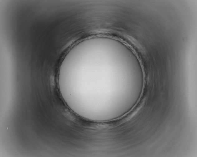 X0000114441209200910161045