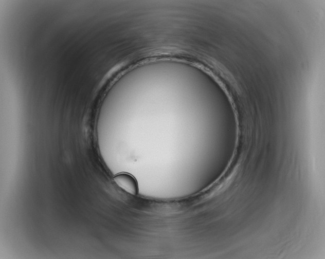 X0000114441210200910161045