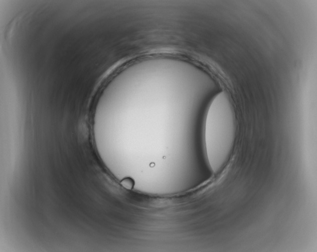 X0000114441212200910161045