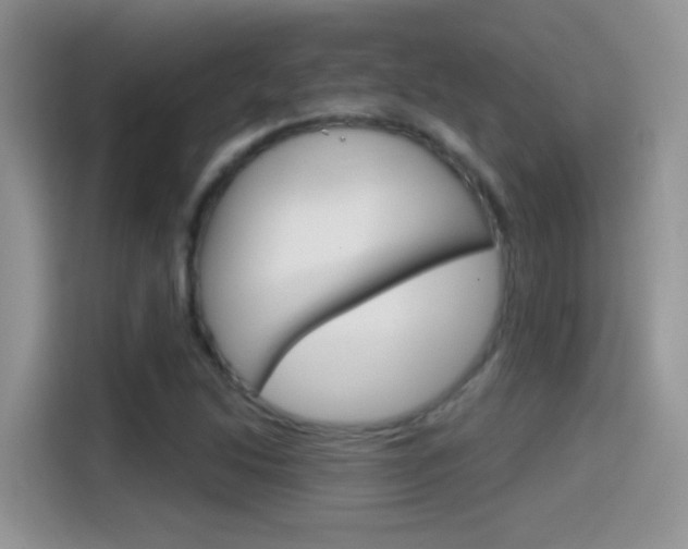 X0000114441214200910161045