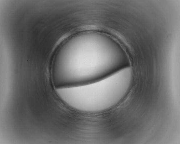 X0000114441218200910161045