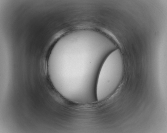X0000114441219200910161045