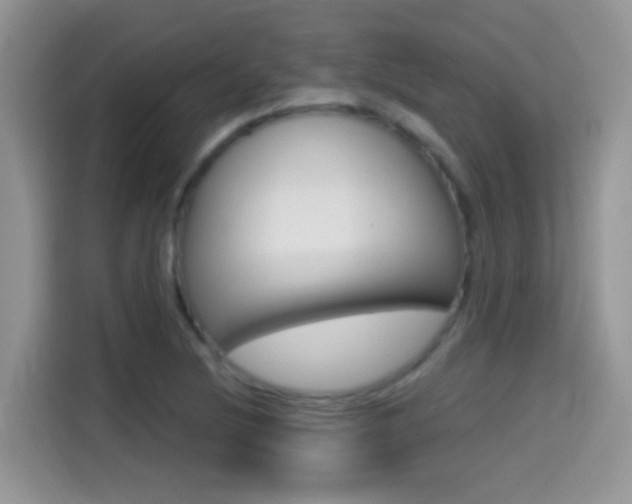 X0000114441220200910161045