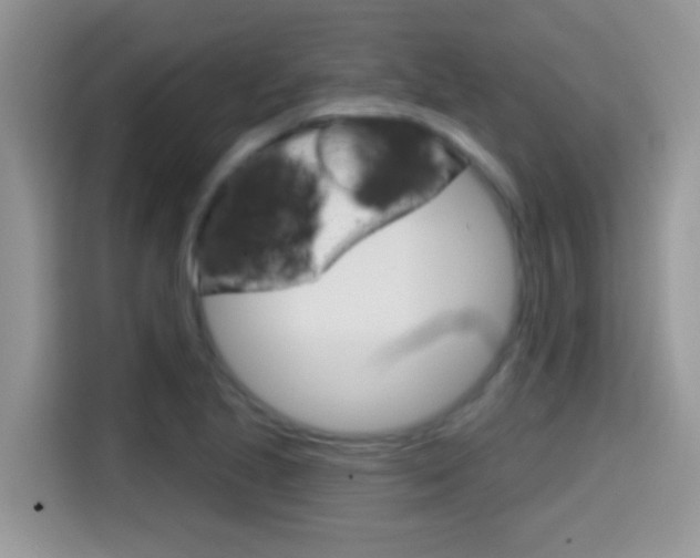 X0000114441221200910161045