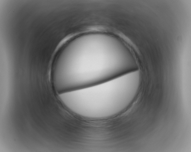 X0000114441222200910161045