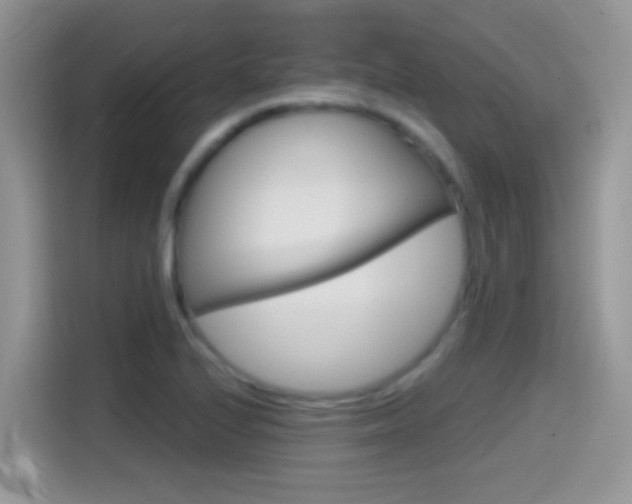 X0000114441224200910161045