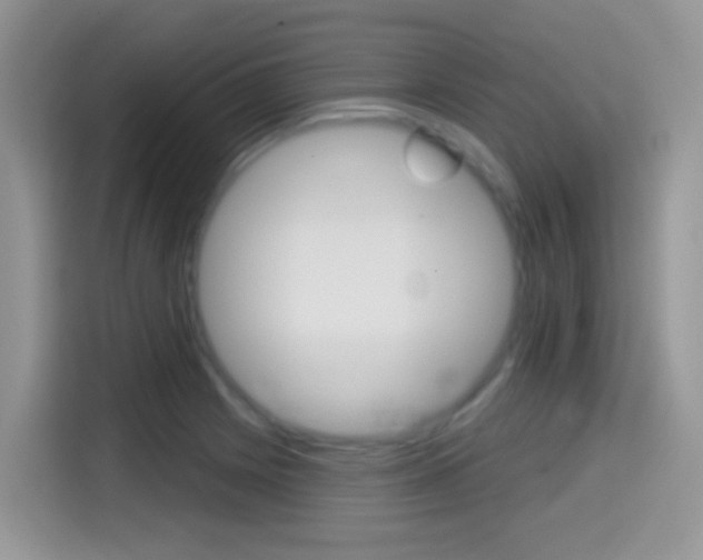 X0000114441225200910161045