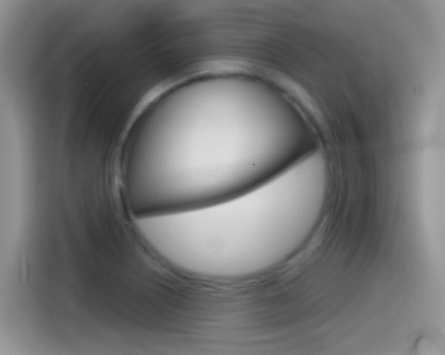 X0000114441226200910161045