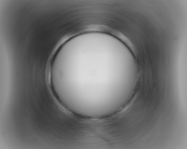 X0000114441227200910161045