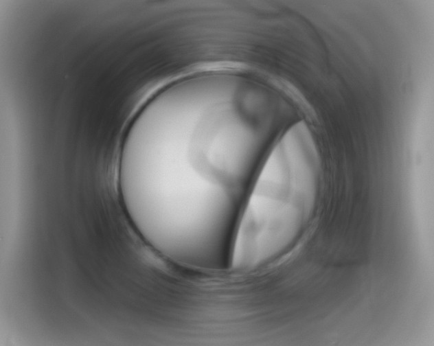 X0000114441228200910161045