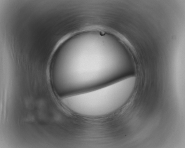 X0000114441230200910161045