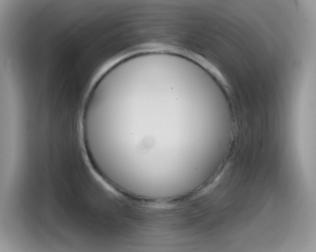 X0000114441239200910161045