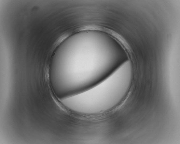 X0000114441241200910161045