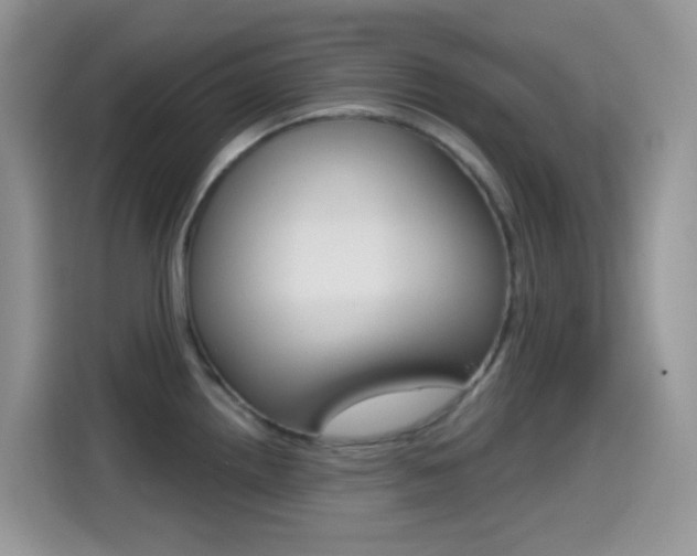 X0000114441242200910161046
