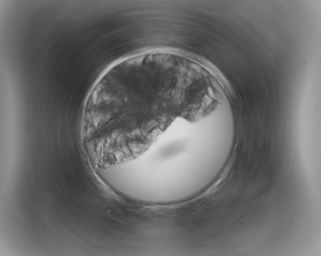 X0000114441244200910161046