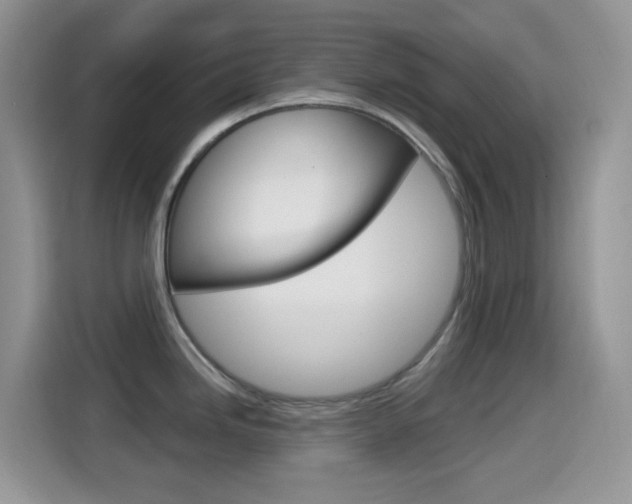 X0000114441246200910161046