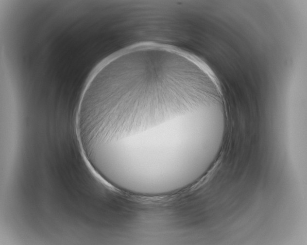 X0000114441247200910161046