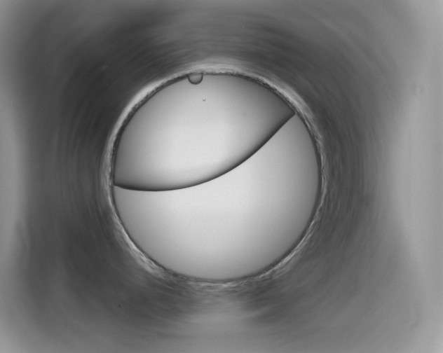 X0000114441248200910161046