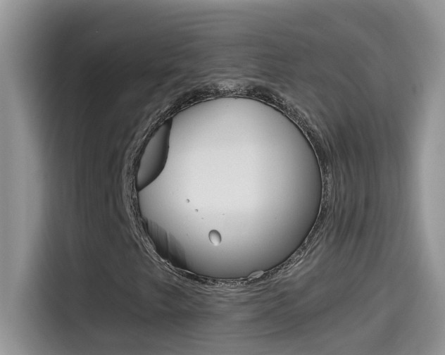 X0000114441249200910161045