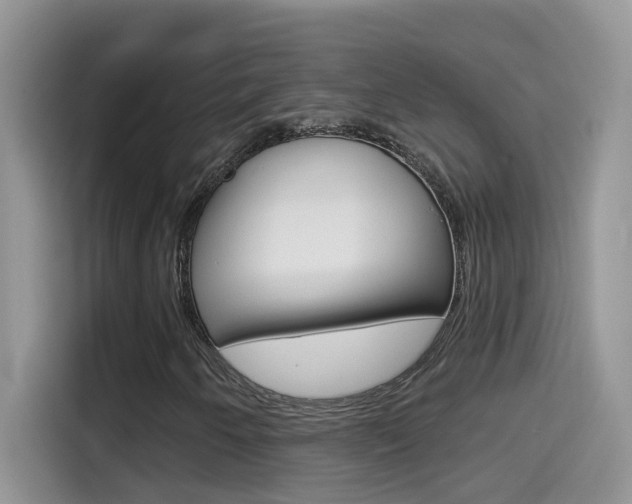 X0000114441250200910161045