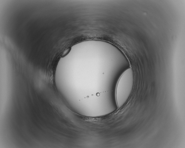X0000114441251200910161045
