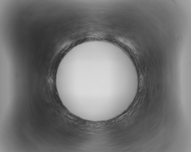 X0000114441254200910161045