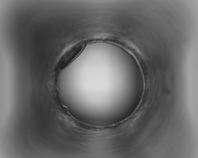 X0000114441256200910161045