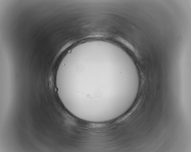 X0000114441258200910161045