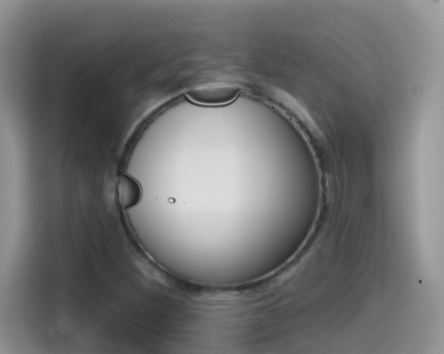 X0000114441260200910161045