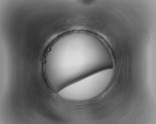 X0000114441263200910161045