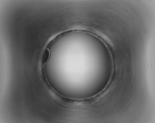 X0000114441264200910161045