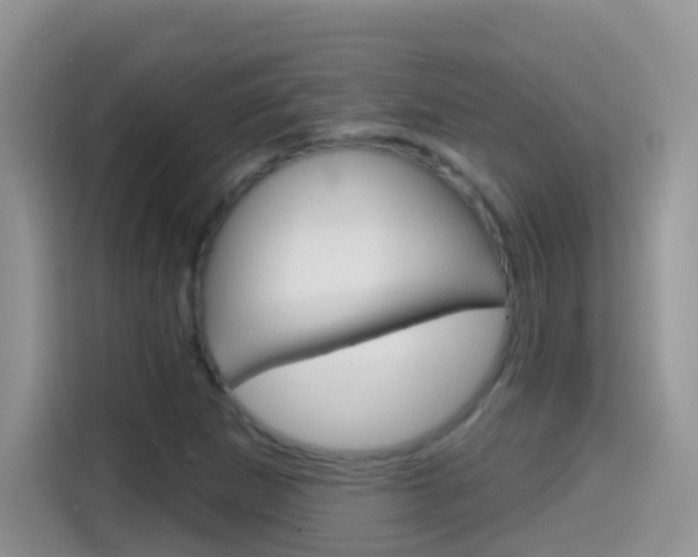 X0000114441265200910161045