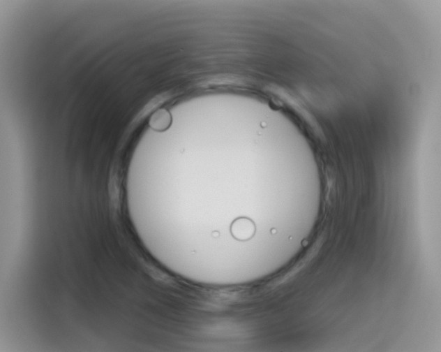 X0000114441266200910161045