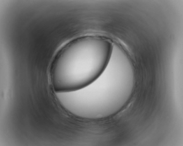 X0000114441267200910161045
