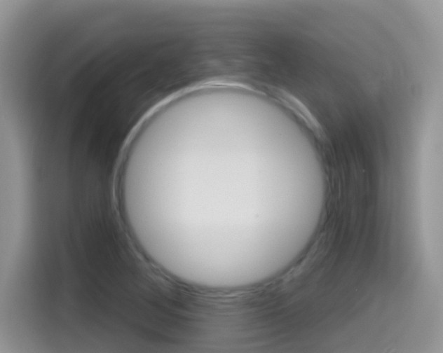 X0000114441268200910161045