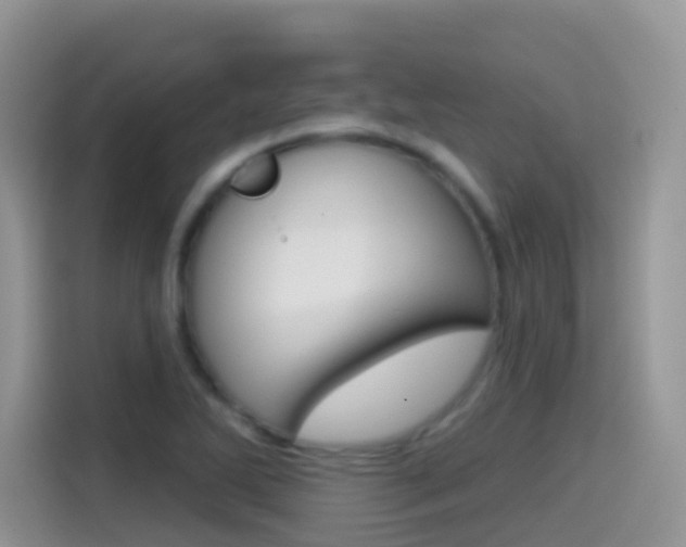 X0000114441270200910161045