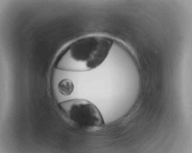 X0000114441271200910161045