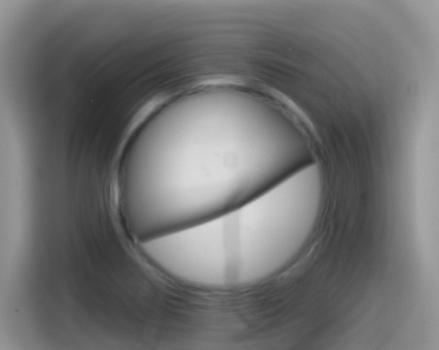 X0000114441274200910161045