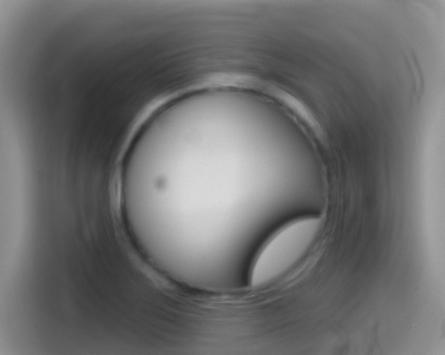 X0000114441275200910161045