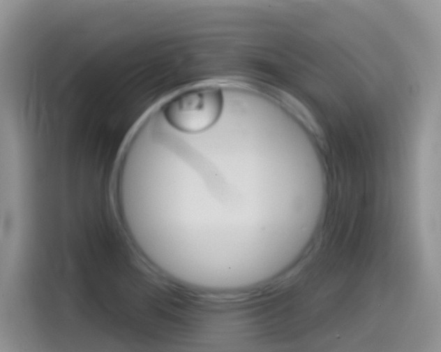 X0000114441276200910161045