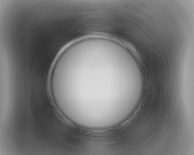 X0000114441280200910161045
