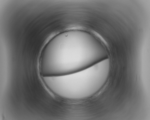 X0000114441282200910161045