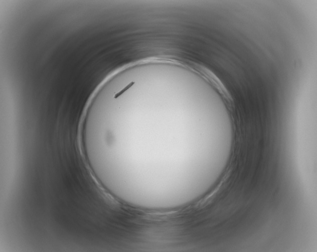 X0000114441284200910161045