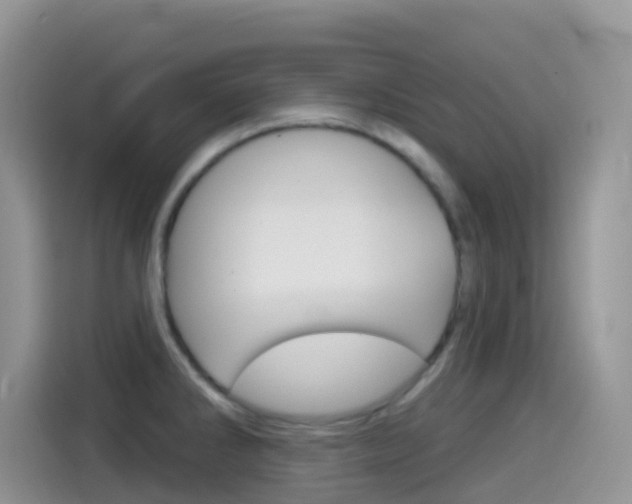 X0000114441286200910161044