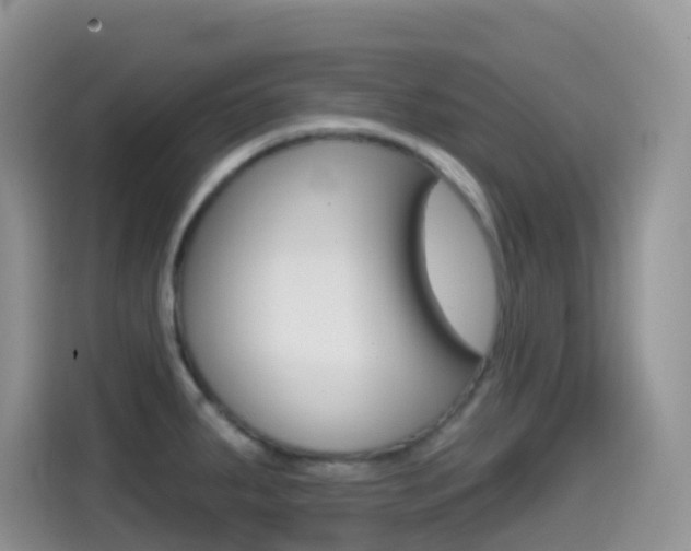 X0000114441287200910161044