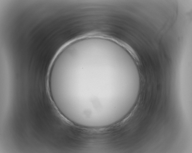 X0000114441288200910161044